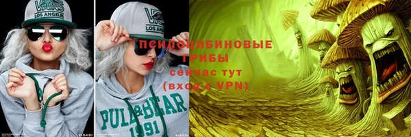 сатива Нефтегорск
